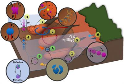 Evidence of Microplastic Size Impact on Mobility and Transport in the Marine Environment: A Review and Synthesis of Recent Research